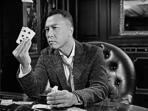 武打巨星甄子丹写真桌面壁纸 甄子丹写真壁纸,武打巨星甄子丹壁纸