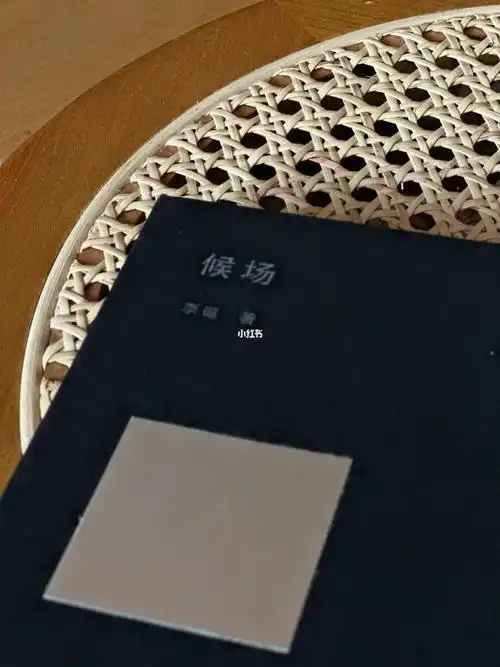 阅读直播候场李诞