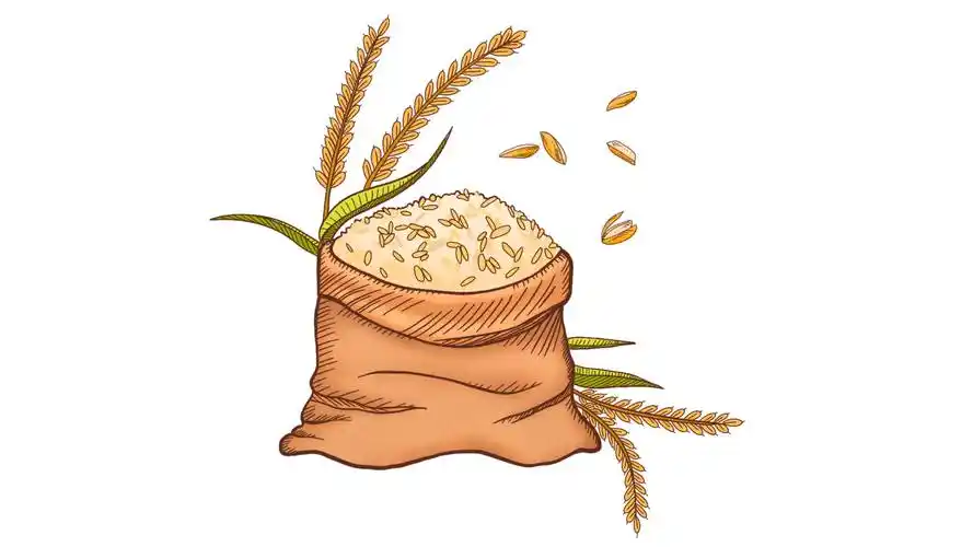 中餐日作引热议让我们关注粮食浪费行为