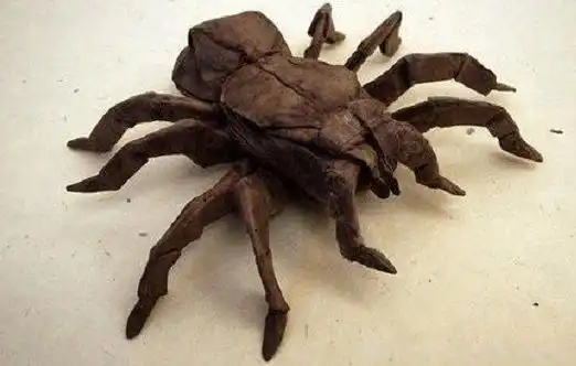 能吓死人的手工折纸有哪些 10大史上最恐怖的折纸