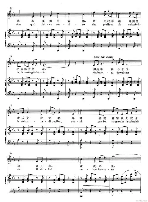 [意]悲叹的小夜曲(正谱)