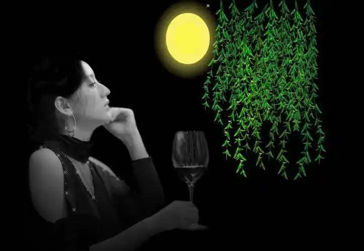 远方的你是否情依然为何有情人却要天涯相望想你的夜晚总是有些凄凉