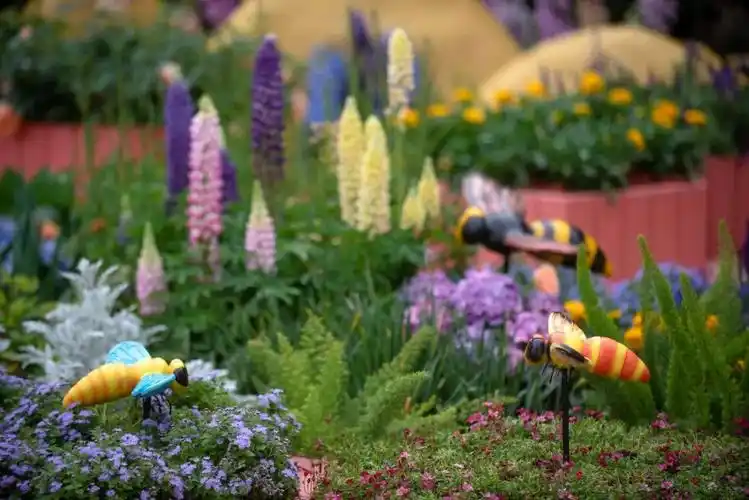 城市花园丨梦想放飞,未来花园设计师作品展示区