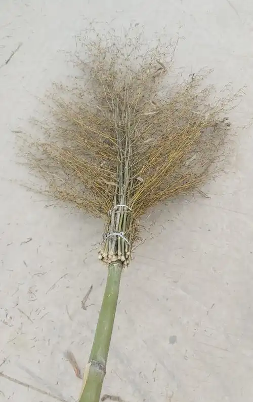 大扫把铁扫把扫帚户外厂区家用工用环卫扫把清洁家用扫大街扫院子