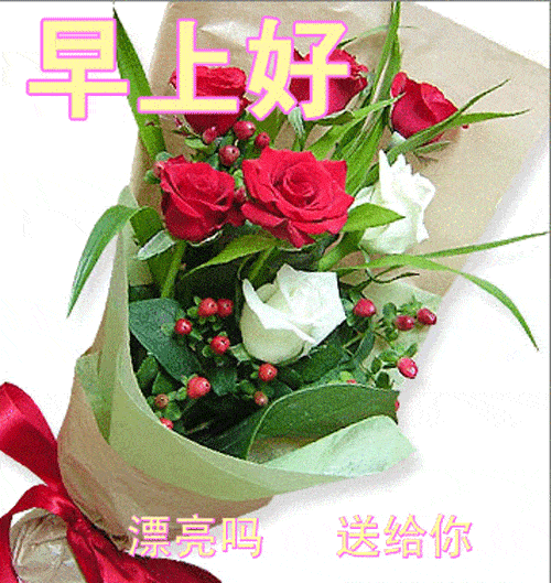 微信早上好图片大全集 新的一天早上好表情包