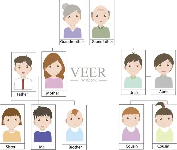 巨大的古老的相伴教育绘画插图矢量背景分离肖像树卡通家谱丈夫妻子同