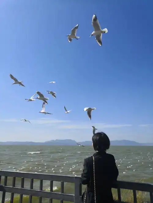 一入短发深似海