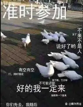 分头行动! 每日分享表情包|斗图聊天欢乐多