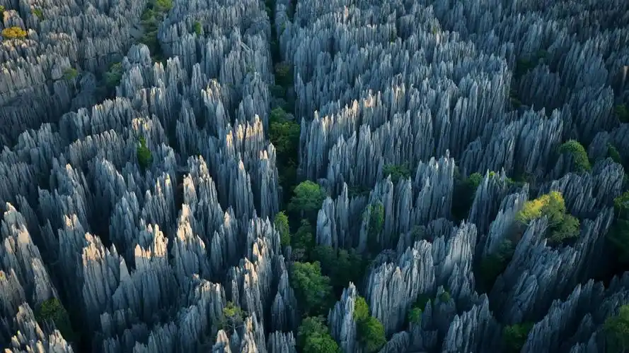 madagascars labyrinth of stone