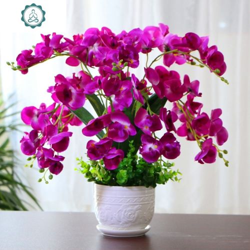 蝴蝶兰仿真花假花家居客厅装饰花摆件塑料干花餐桌电视柜摆设盆栽 封