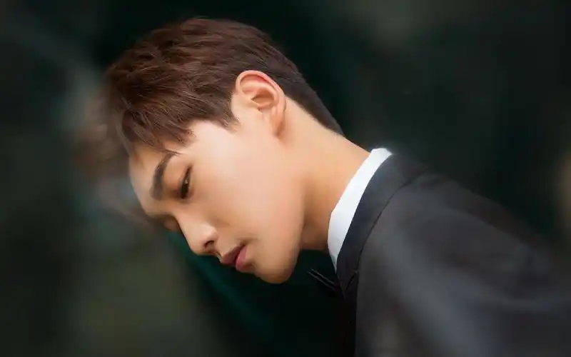 帅哥演员邢昭林,高清图片,电脑桌面-壁纸族