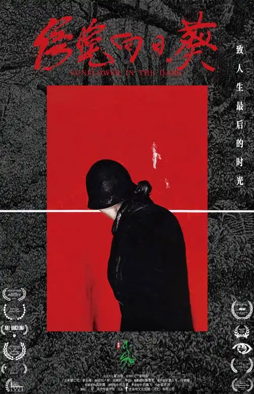 电影《傍晚向日葵》发布先导海报,导演李旭借本片致人生最后的时光