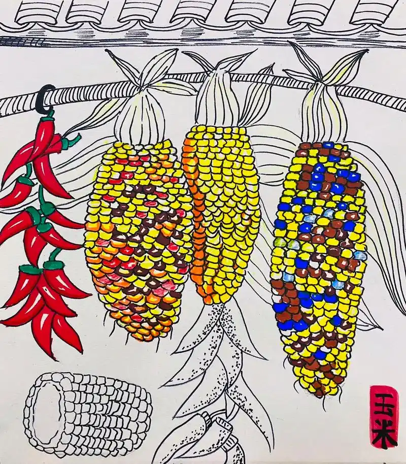 《玉米🌽》#画画 #儿童绘画作品 #少儿美育 - 抖音