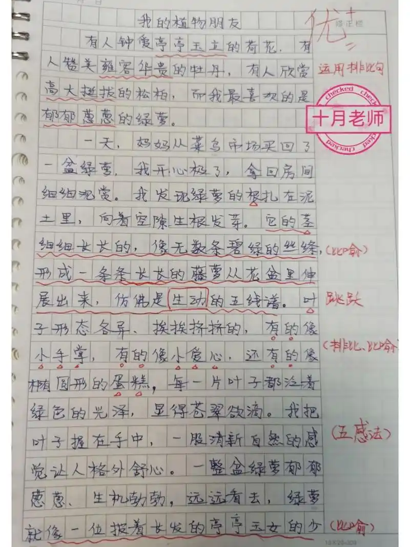 三下第一单元优秀作文《我的植物朋友绿萝》 三年级下册第一单元优秀