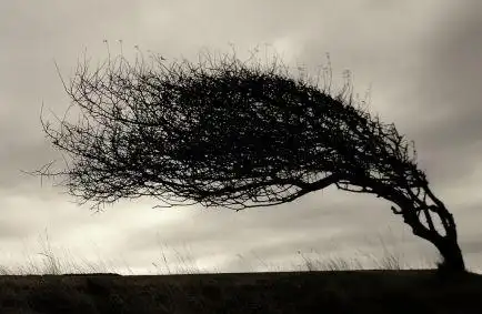 少儿创意美术大风吹啊吹创意无限