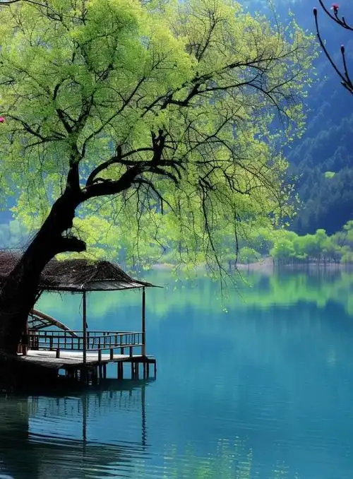 看看这三个生肖,谁将成为笑看人生的赢家!