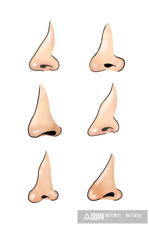 各个鼻型的卡通鼻子