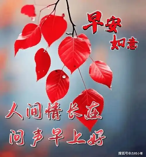 风含笑,雨含情,人生有缘才同行.风一程,雨一程,珍惜缘分重友情!