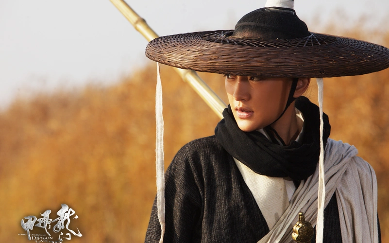 【龙门飞甲-imax版】国粤中字 2011 徐克电影 李连杰 周迅 陈坤