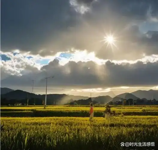 《阳光总在风雨后》