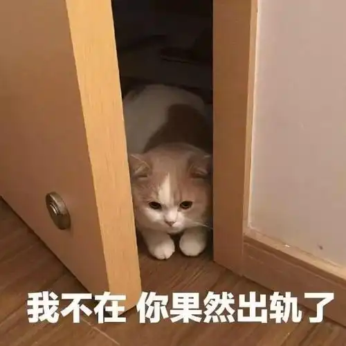 穂村千夏惊讶动图表情包 - 春&夏推理事件簿春太与千夏的青春穂村千夏