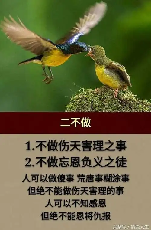 忘恩负义妄为人