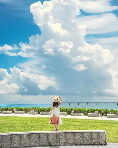 不露脸的照片,咋拍好看,春天摄影教程来啦|天空|镜头|花朵|光圈_网易