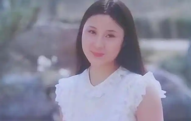 主演少林寺的丁岚两婚两离人生如戏如今60岁容颜可改变