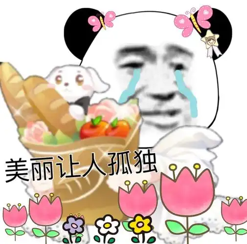 美丽让人孤独表情包 - 萌版熊猫头斗图表情 - 日常表情包