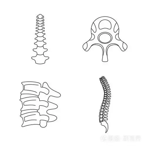 脊柱矫形脊椎图标设置, 轮廓样式插画-正版商用图片0uojvu-摄图新视界