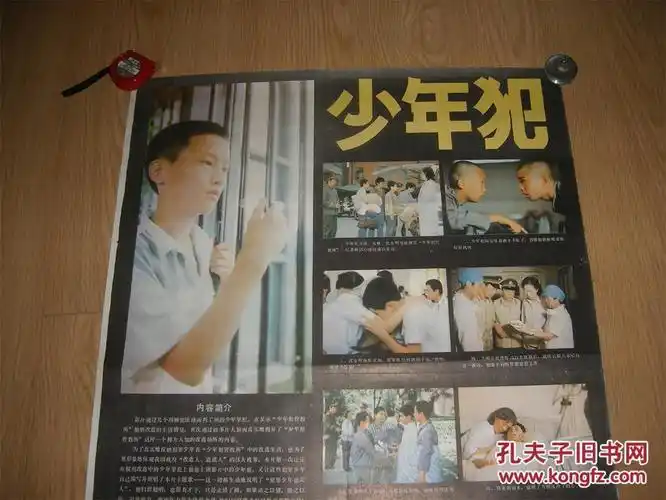 电影海报《少年犯》1张