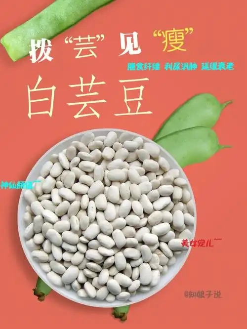 1,降血压白芸豆的功效与作用