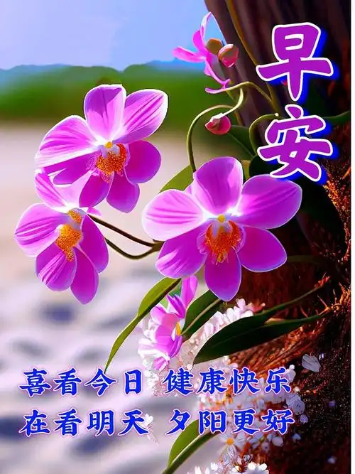 愿你的努力和付出得到回报,愿你的每一天都与幸福和温馨共伴随