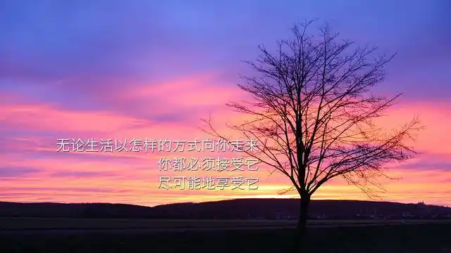 青春励志唯美图片