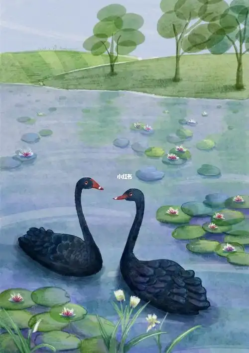 画两只黑天鹅嘎嘎嘎06