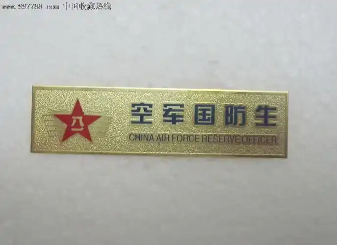 空军国防生胸章(稀少品种)_第1张_7788收藏__中国收藏热线