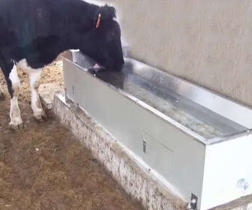 电加热不锈钢恒温牛饮水槽