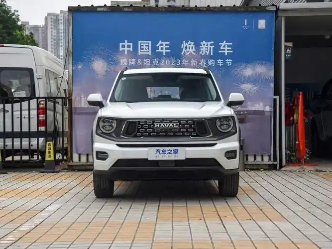长城汽车 哈弗二代大狗 2023款 2.0t 两驱潮野版plus
