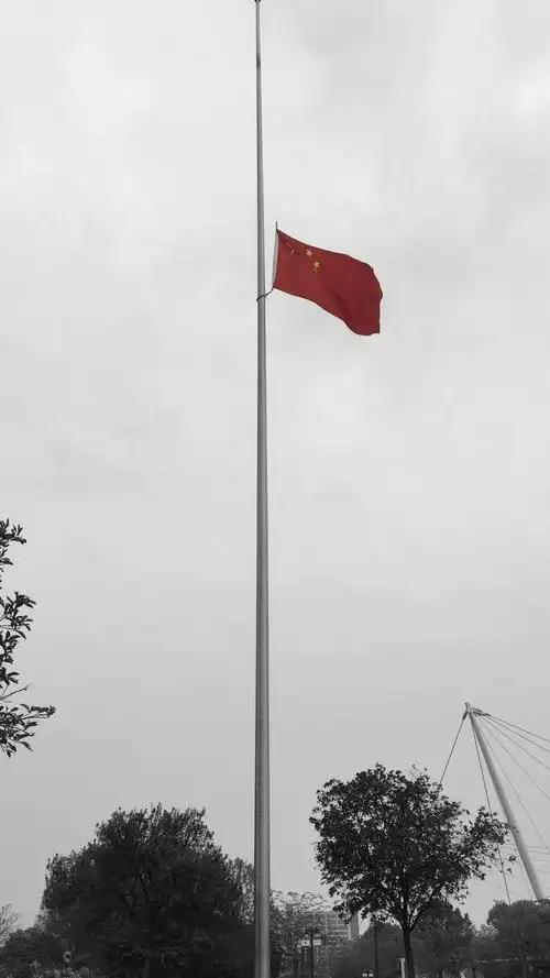 清明追思 | 星散不归,壮怀长存_国旗