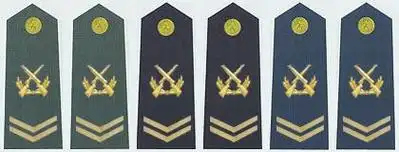 陆海空军四级军士长军衔肩章(2009—)