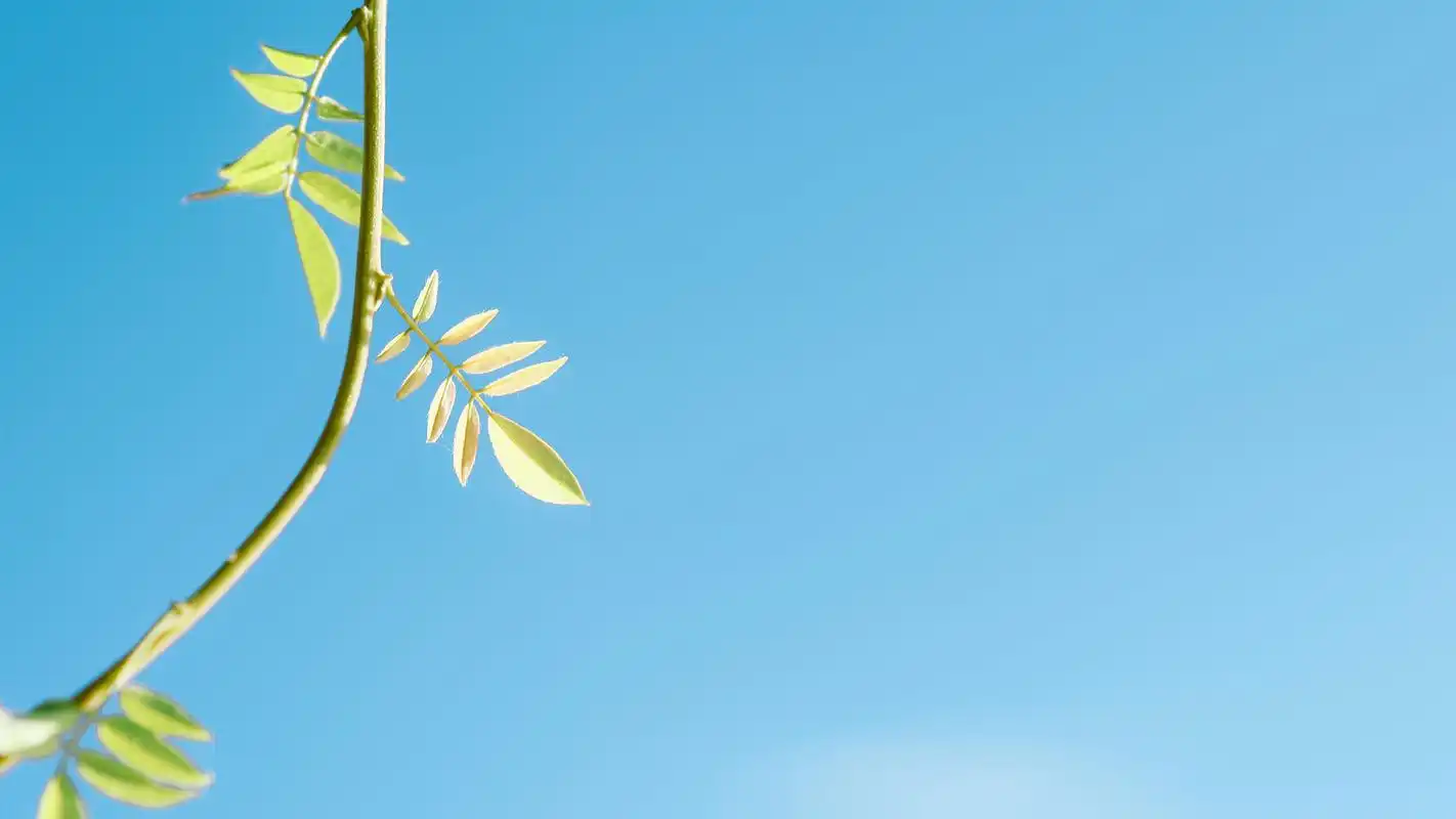 小清新风景图片高清桌面电脑壁纸 第一辑