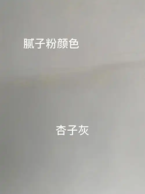 立邦杏子灰