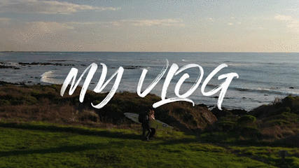 450_253gif 动态图 动图