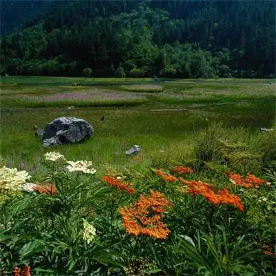 绿水风景头像由美头网小编为大家带来,满屏的绿色让看到的人心旷神怡