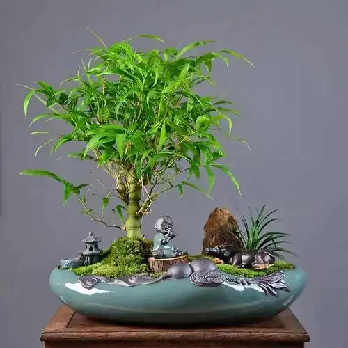 梅兰竹菊是古代有名的花中四君子,竹子寓意着节节高升,象征着刚正