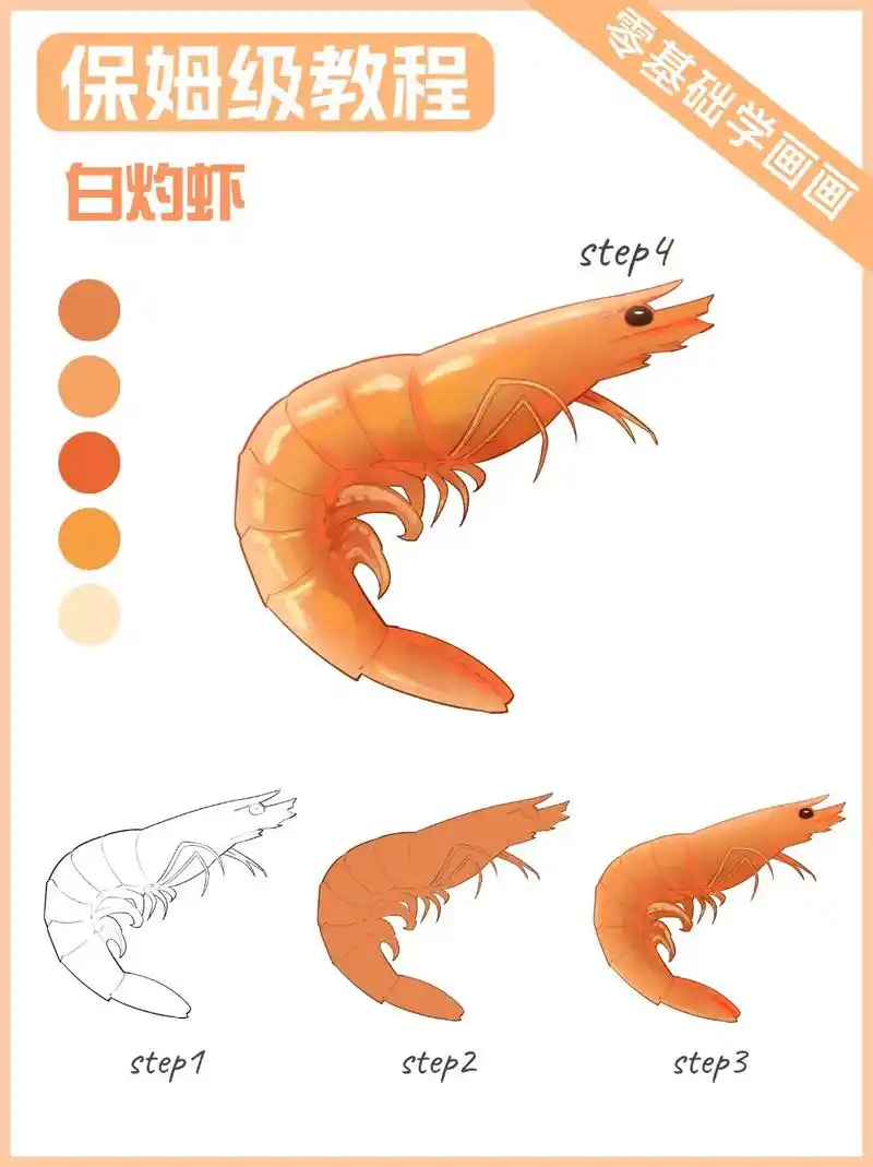 绘画教程|简单⑤步教你画白灼虾.