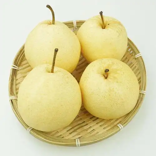 陕西蒲城贡梨 百年老树 康熙乾隆爱吃的酥梨 现摘现