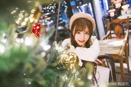 陶波尔 boer tao的图片