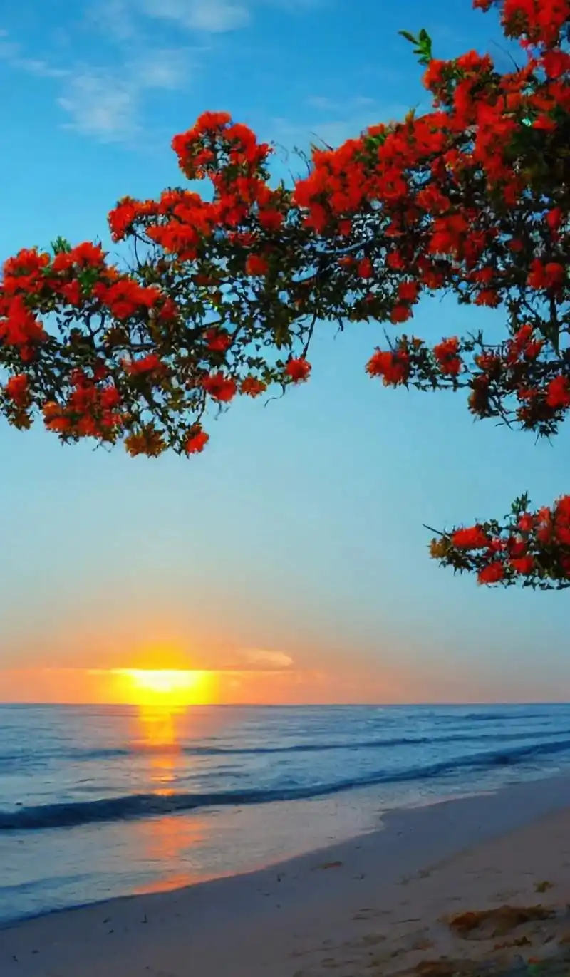 海上日出美景,只能给优秀的你看哟#图文热点来了#图文伙伴计划 - 抖音