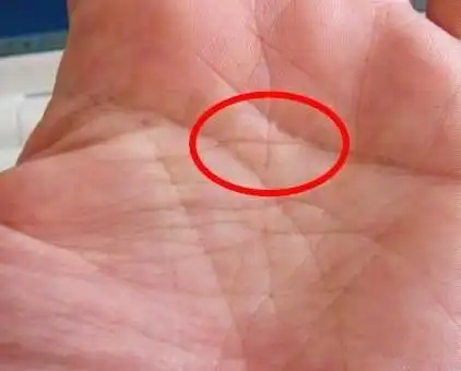 秒看手相,灵能九纹,速查有缘人